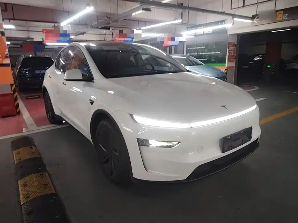 Tesla Model Y — фото 3