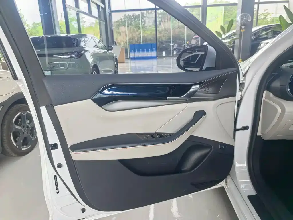 BYD Qin PLUS — фото 6