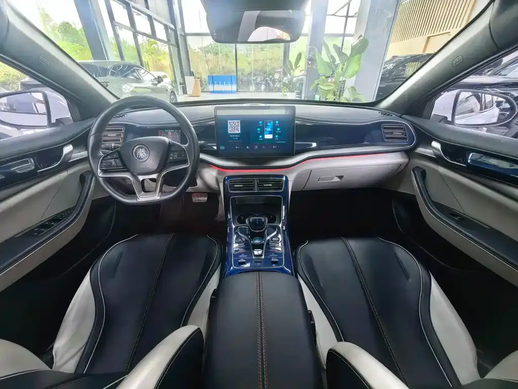 BYD Qin PLUS — фото 10