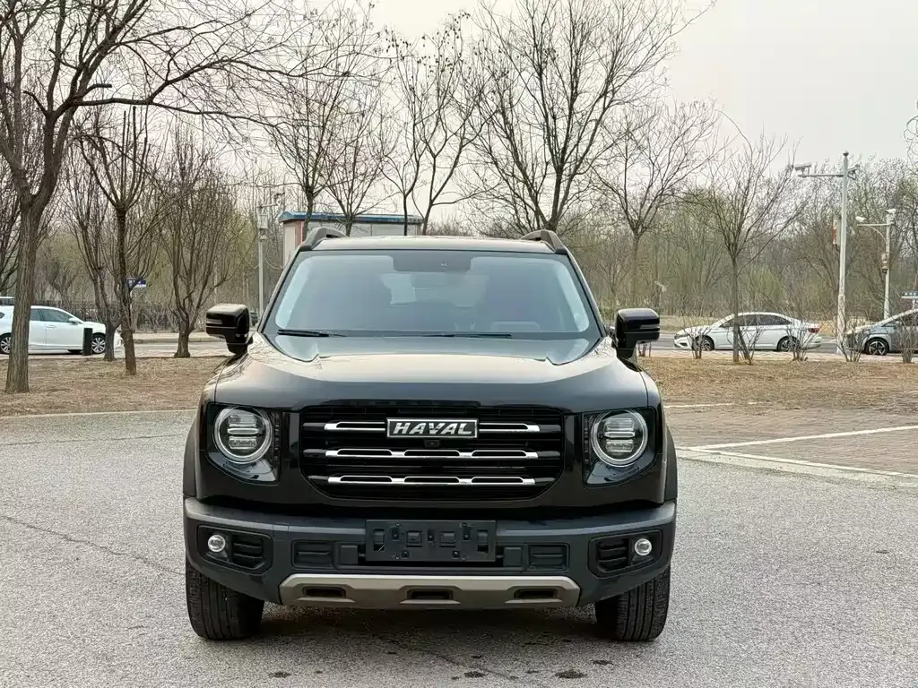 Haval Big Dog — фото 6