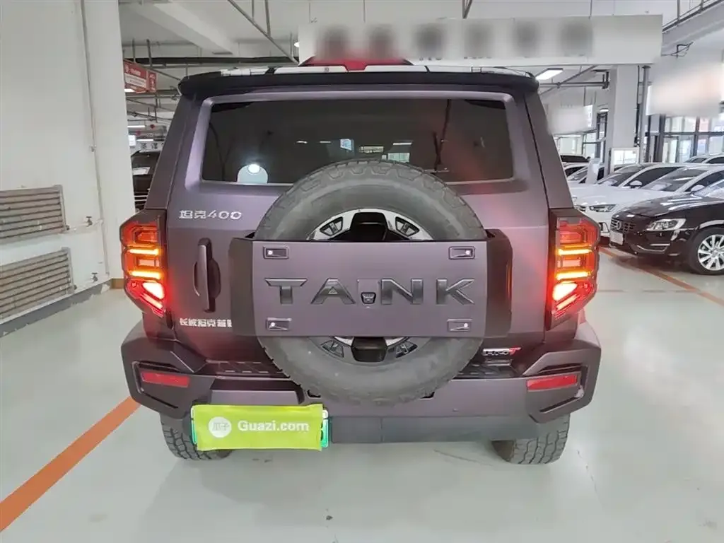 Tank 400 New Energy 2024 из CN, фото 10
