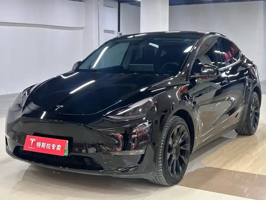 Tesla Model Y — фото 1