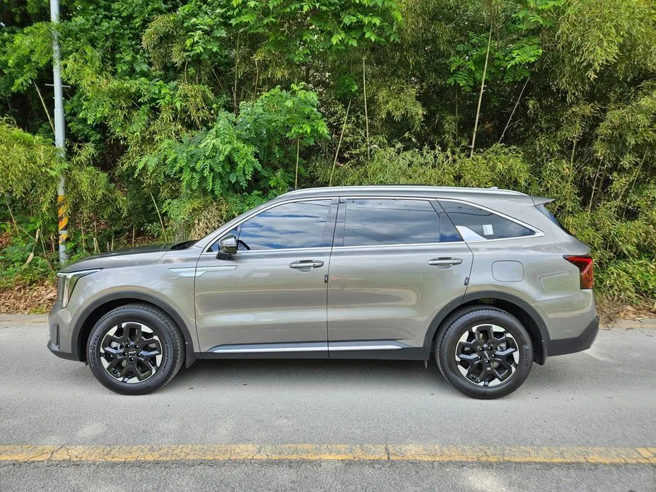 Kia Sorento 2024 из KR, фото 6