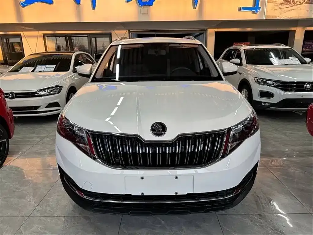 Skoda Kamiq 2021 из CN, фото 6