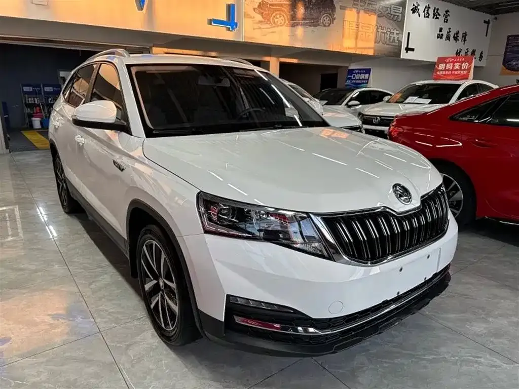 Skoda Kamiq 2021 из CN, фото 2