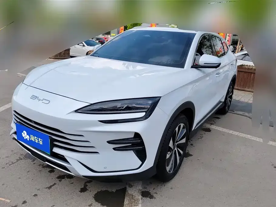 BYD PLUS New Energy — фото 1