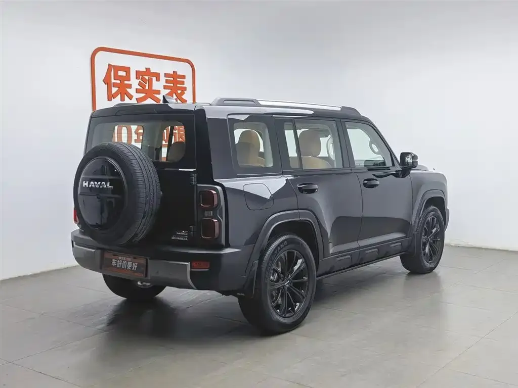 Haval Menglong New Energy 2025 из CN, фото 7