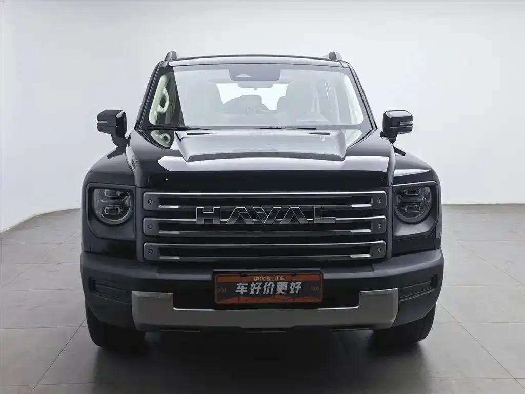 Haval Menglong New Energy 2025 из CN, фото 10