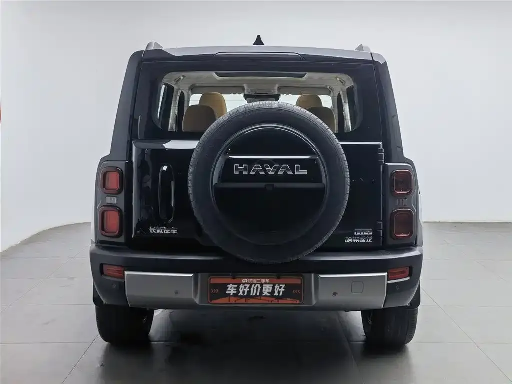Haval Menglong New Energy 2025 из CN, фото 4