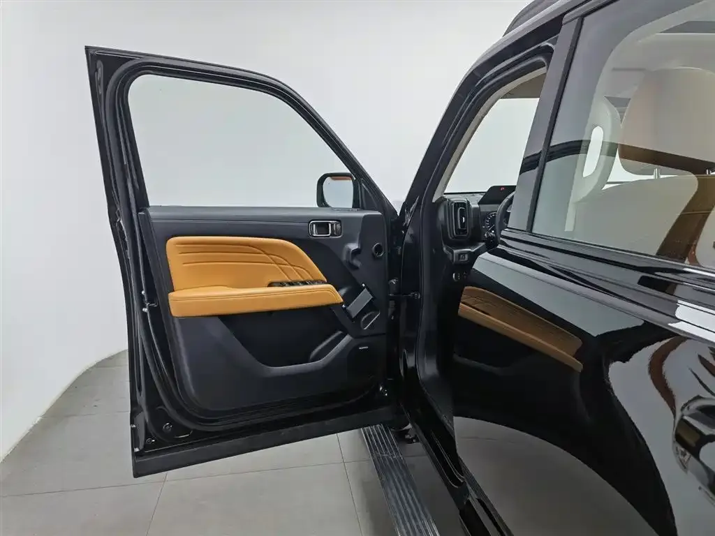 Haval Menglong New Energy 2025 из CN, фото 3