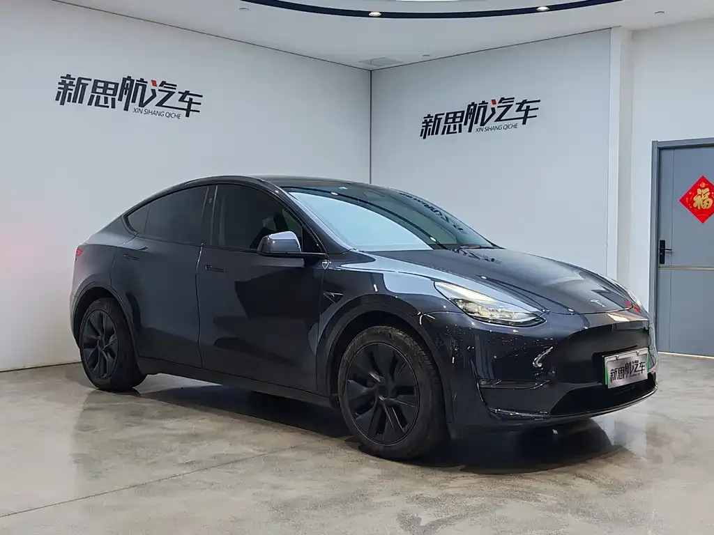 Tesla Model Y — фото 9