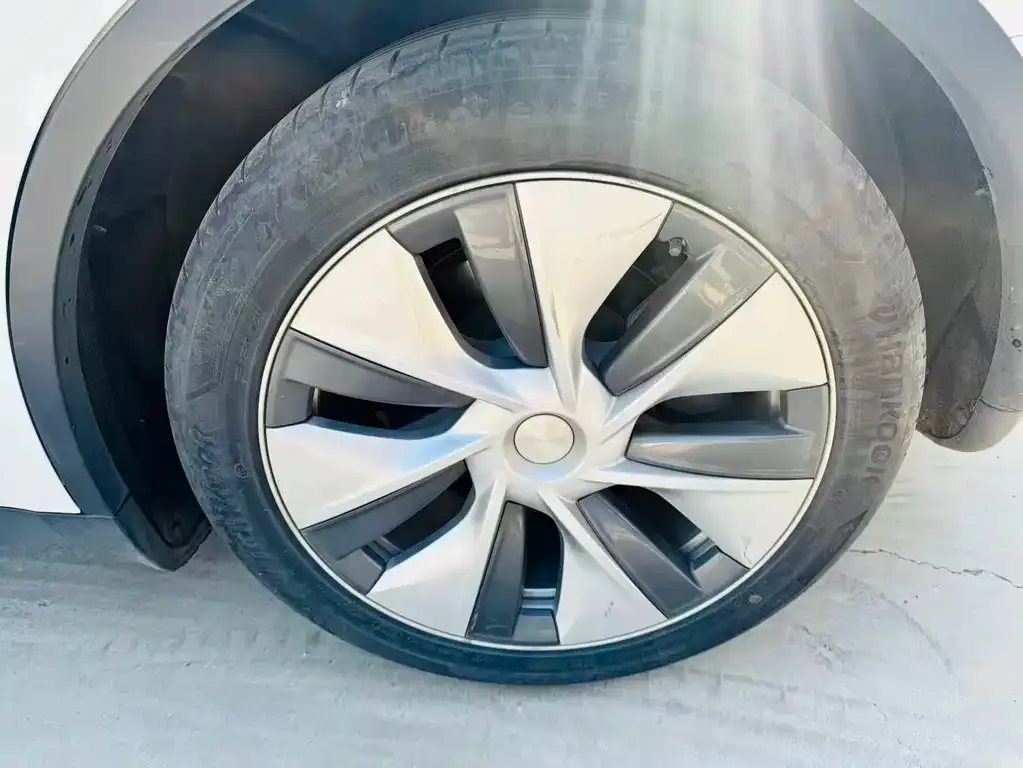 Tesla Model Y 2022 из CN, фото 3