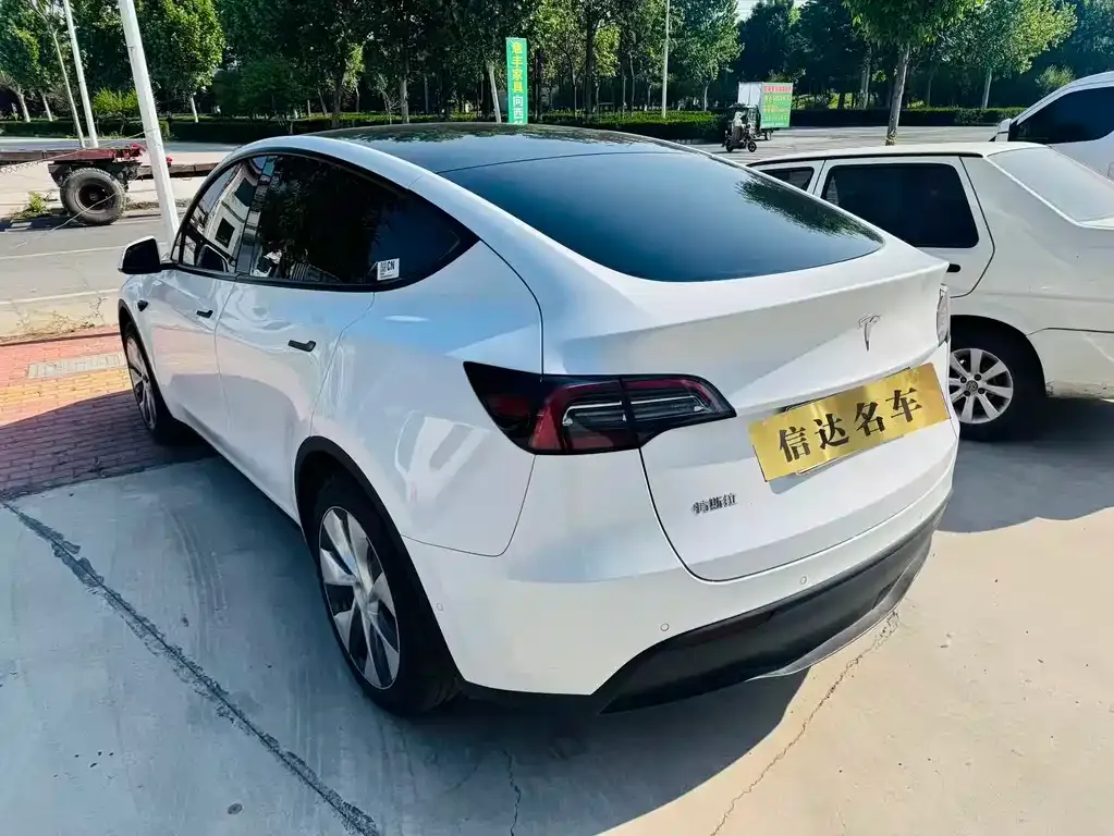 Tesla Model Y 2022 из CN, фото 6