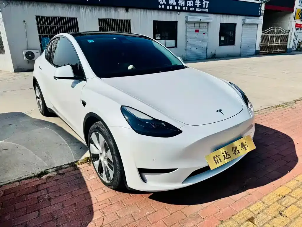Tesla Model Y 2022 из CN, фото 5