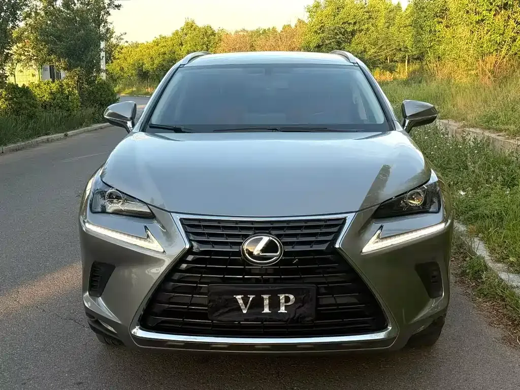 Lexus NX 2021 из CN, фото 8