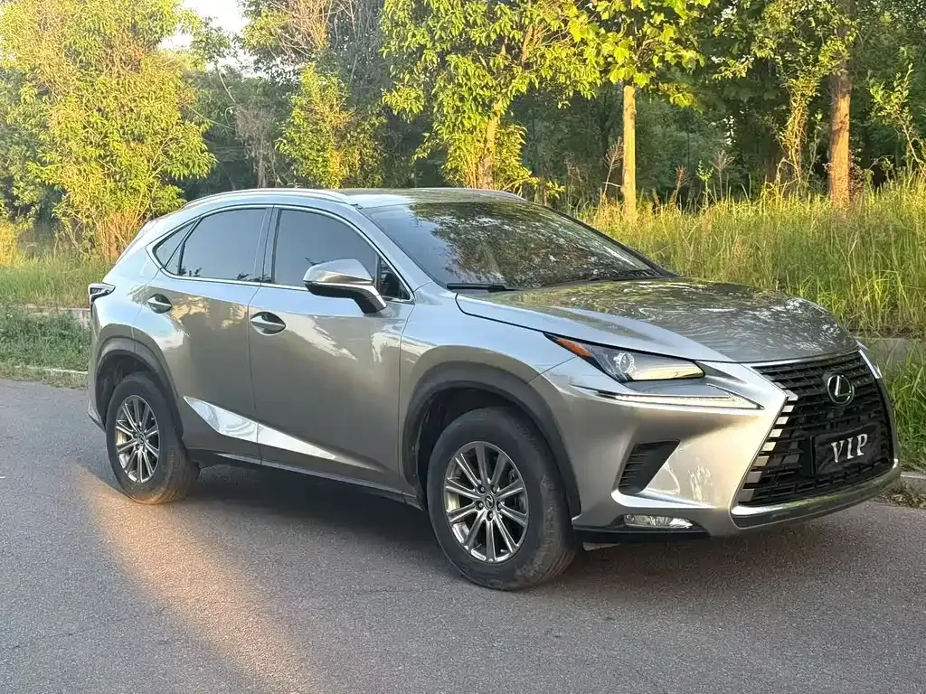 Lexus NX 2021 из CN, фото 7