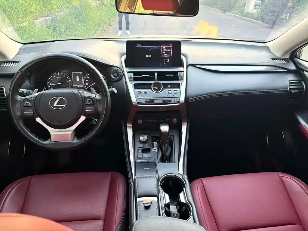 Lexus NX 2021 из CN, фото 4