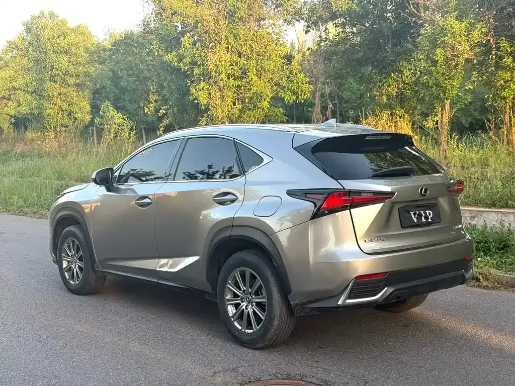 Lexus NX 2021 из CN, фото 9