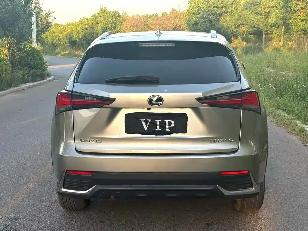Lexus NX 2021 из CN, фото 5