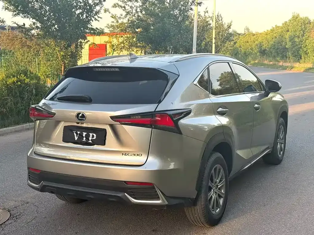 Lexus NX 2021 из CN, фото 6