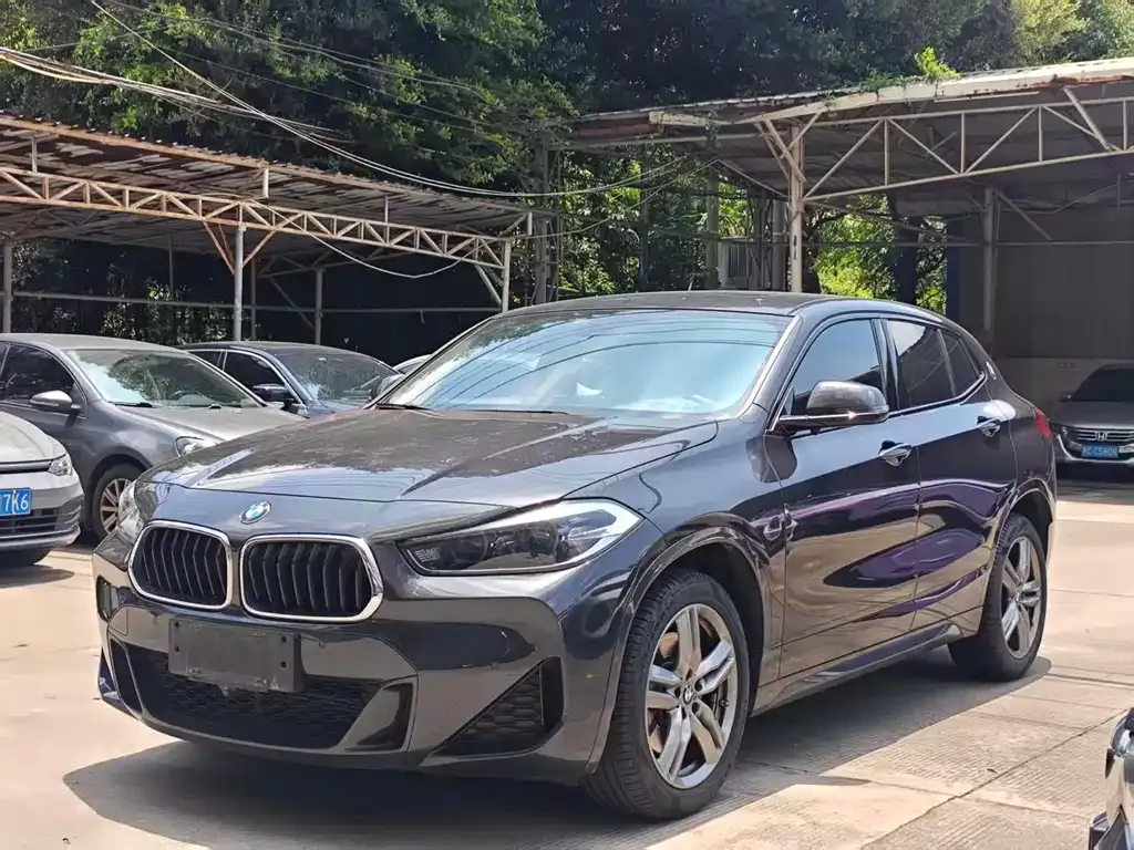 BMW X2 — фото 1