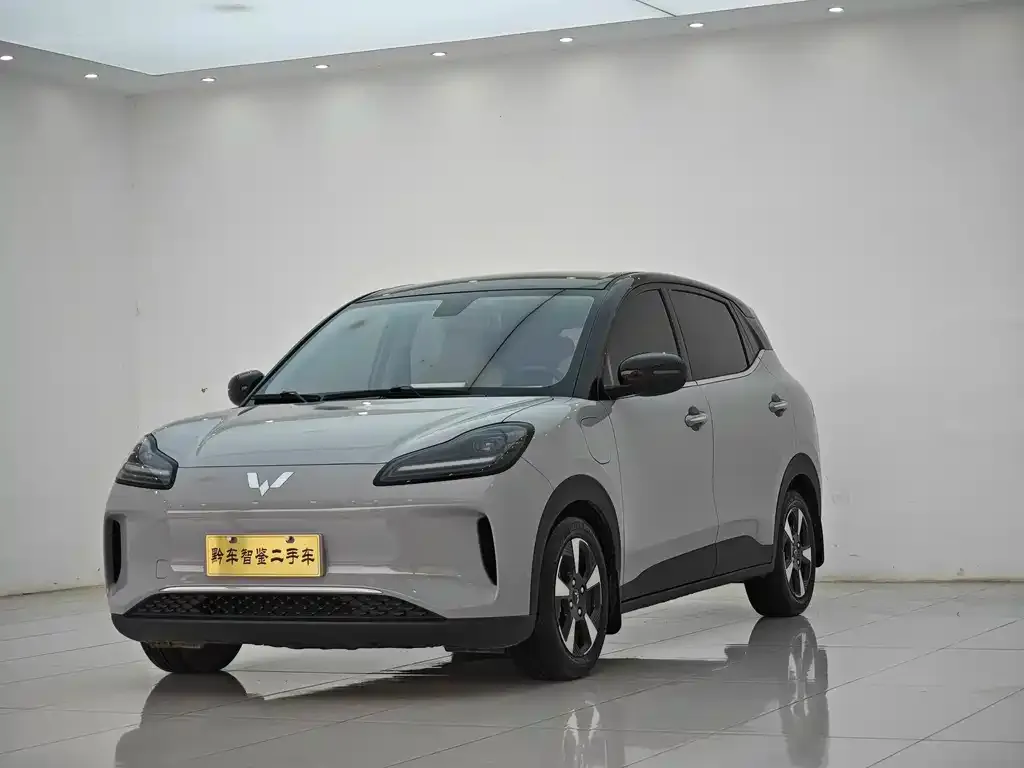 Wuling Bingo PLUS