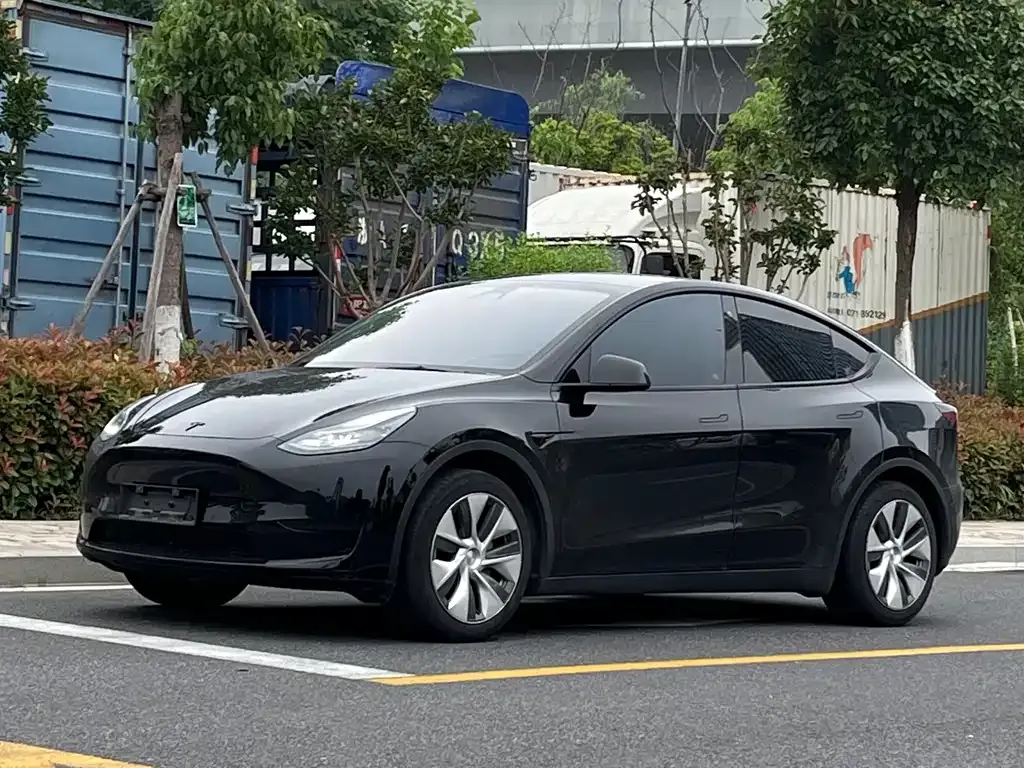 Tesla Model Y — фото 1