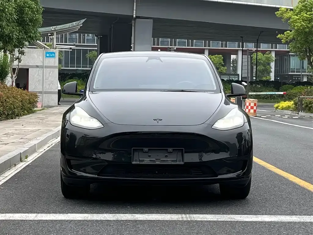 Tesla Model Y — фото 7