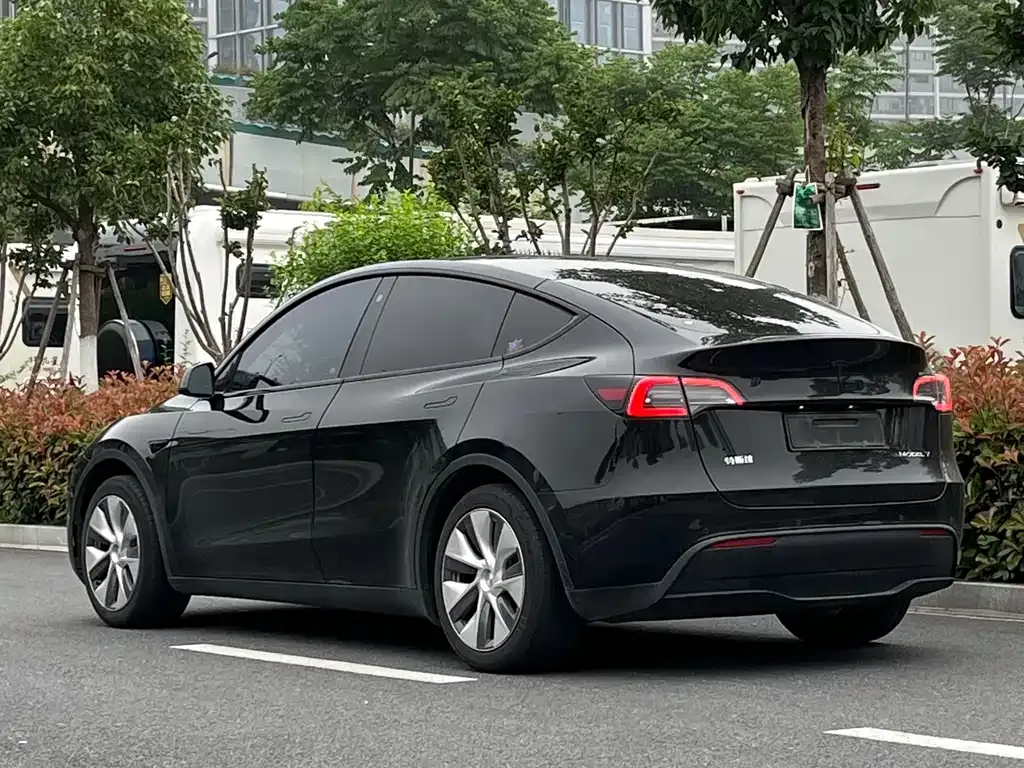 Tesla Model Y — фото 10