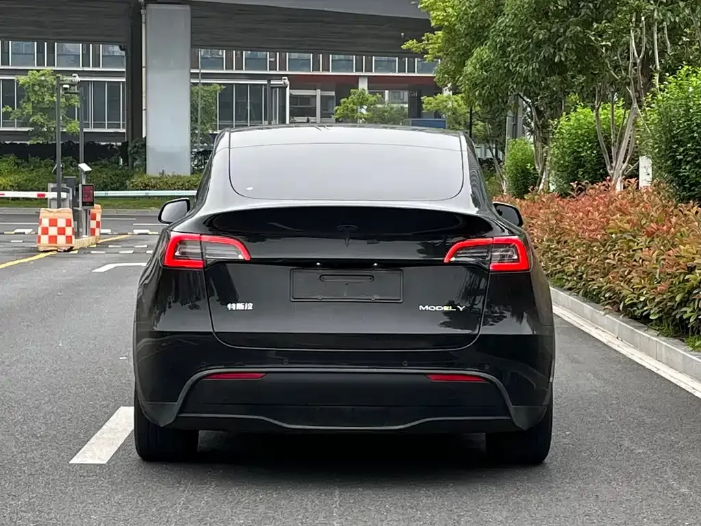 Tesla Model Y — фото 5