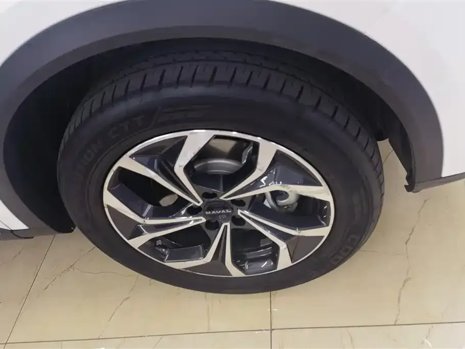 Haval Xiaolong MAX 2023 из CN, фото 6