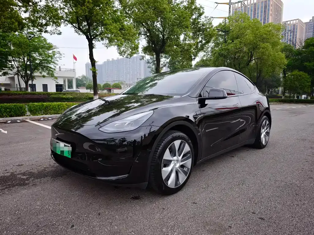Tesla Model Y — фото 1