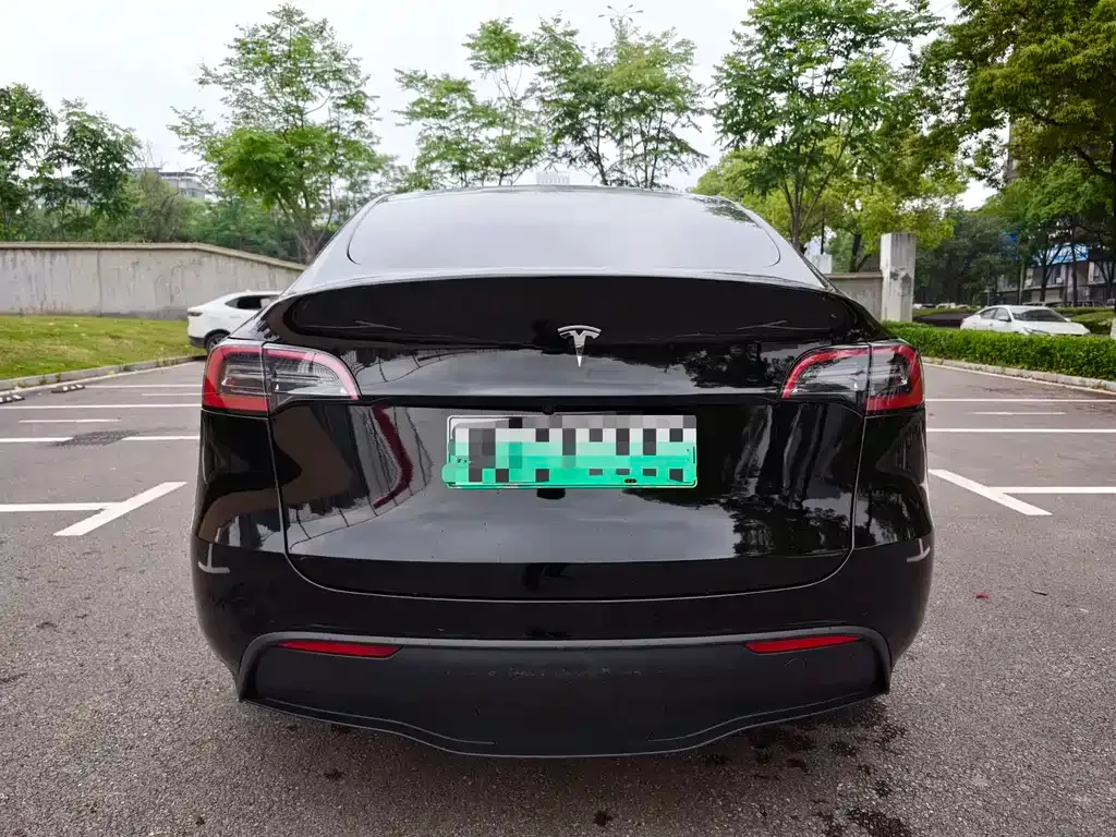 Tesla Model Y — фото 9