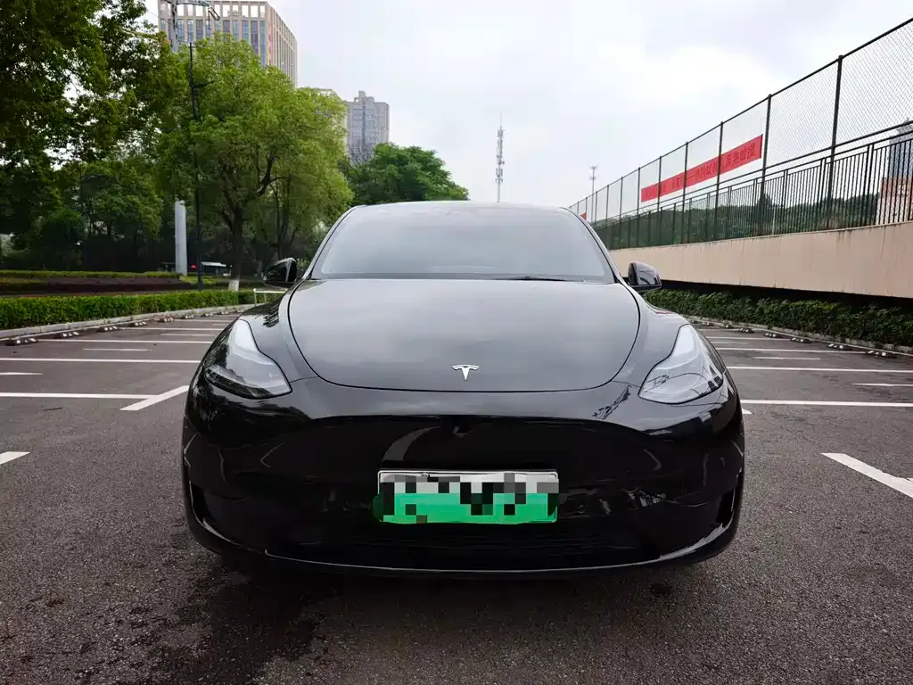 Tesla Model Y — фото 10