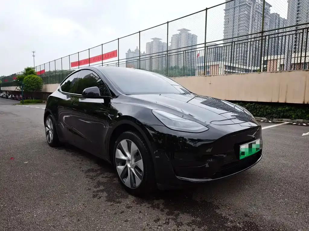 Tesla Model Y — фото 5