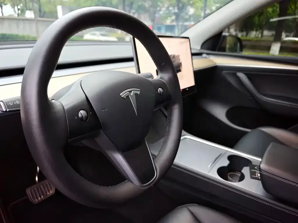 Tesla Model Y — фото 3