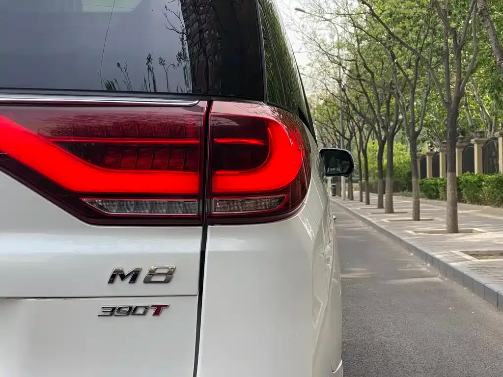 GAC Motor Trumpchi M8 — фото 4
