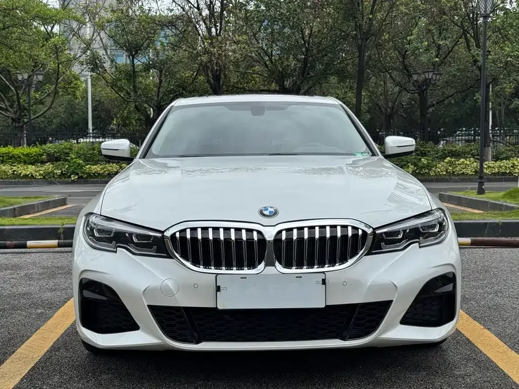BMW 3 Series 2021 из CN, фото 7