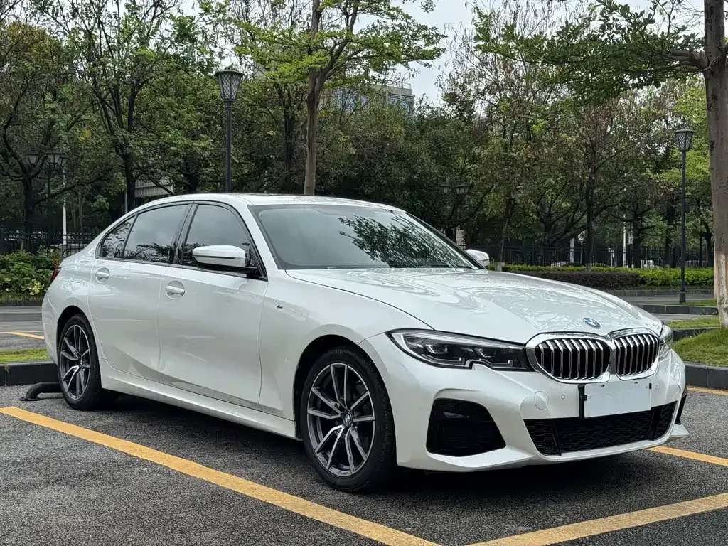 BMW 3 Series 2021 из CN, фото 9