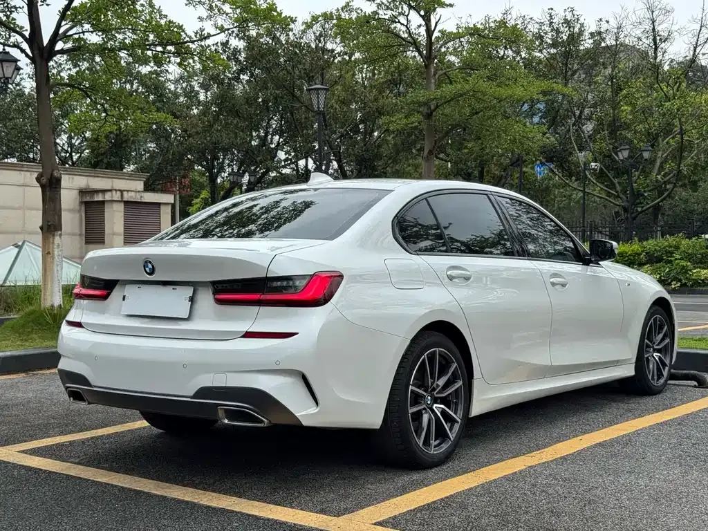 BMW 3 Series 2021 из CN, фото 10