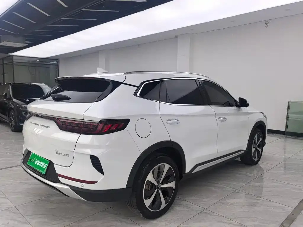 BYD PLUS New Energy — фото 4