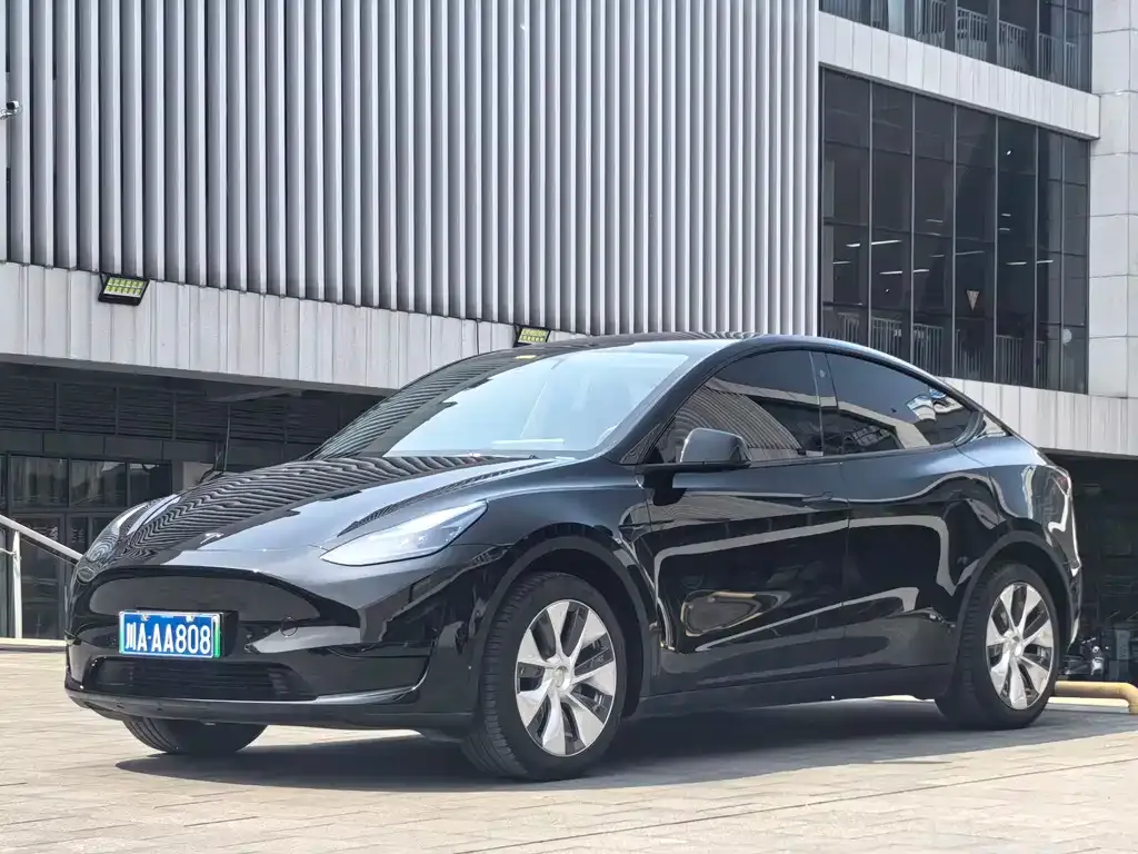 Tesla Model Y — фото 2