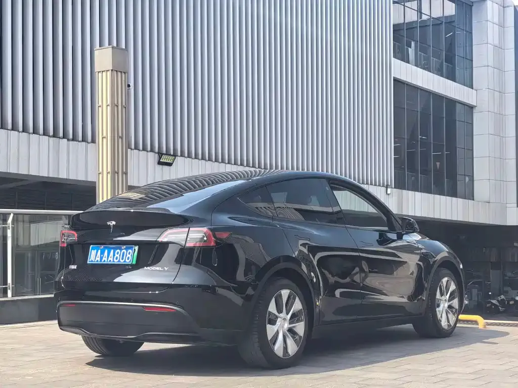 Tesla Model Y — фото 8