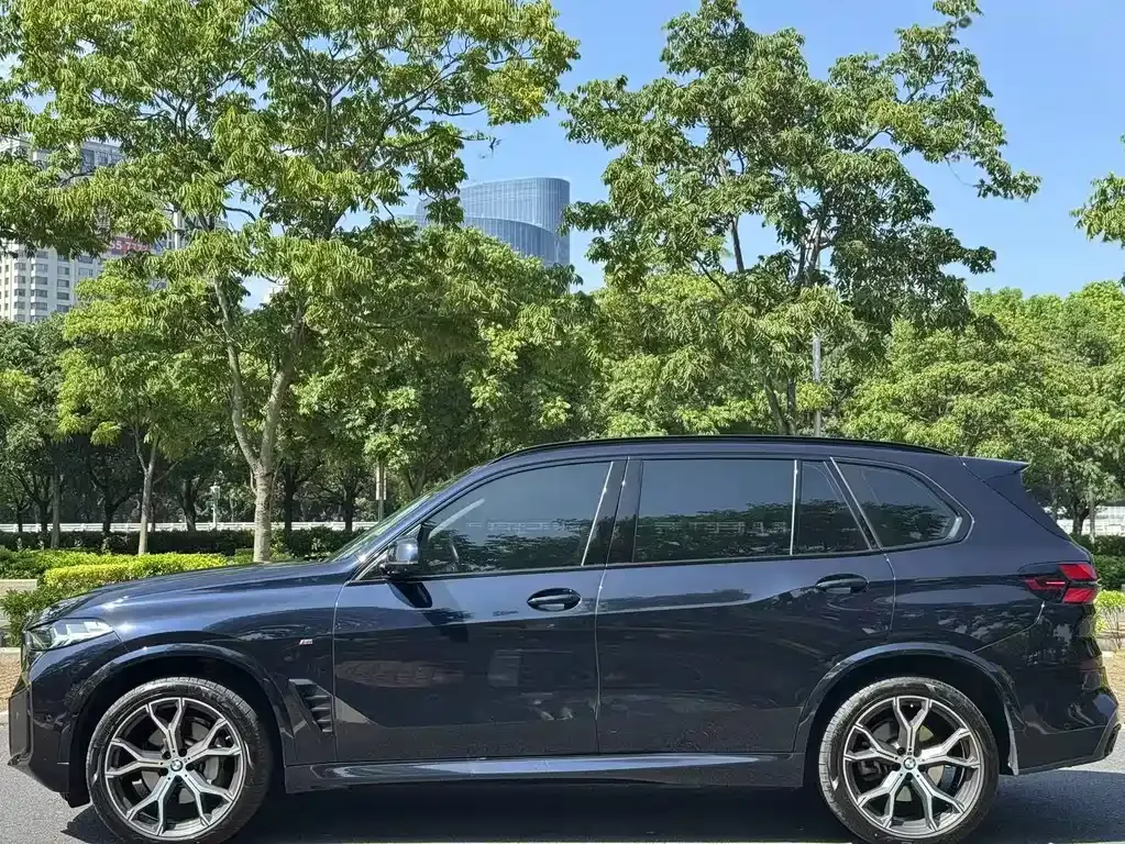 BMW X5 — фото 6