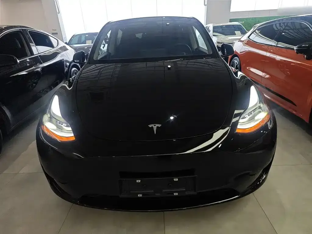 Tesla Model Y — фото 5