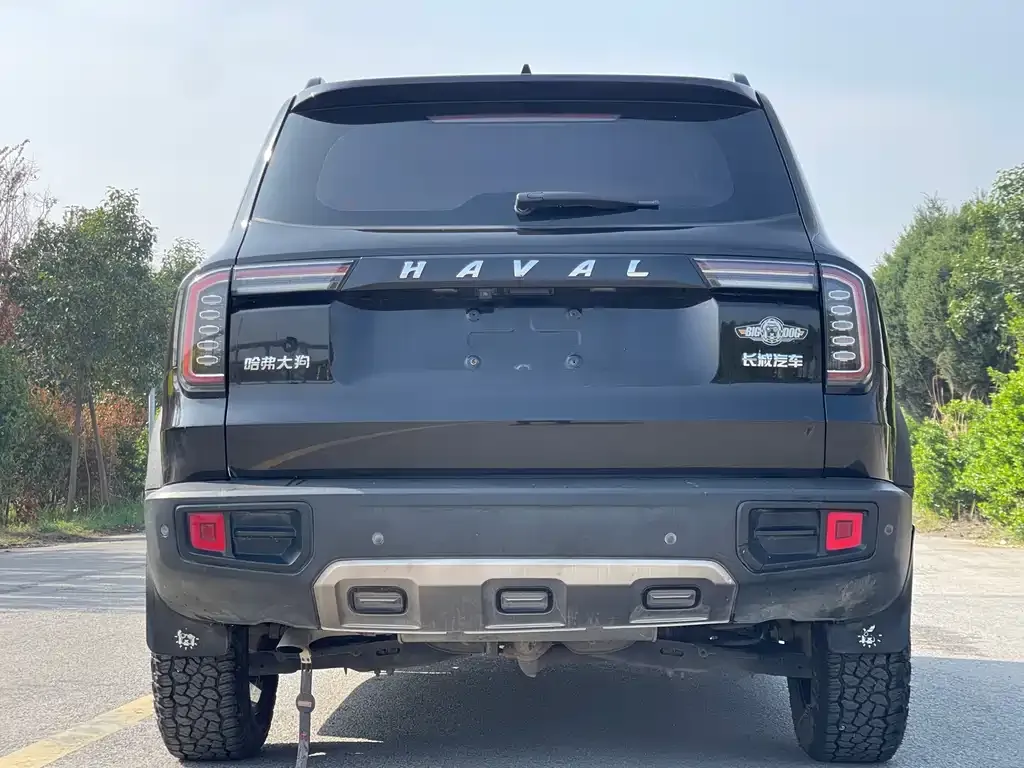 Haval Big Dog — фото 9