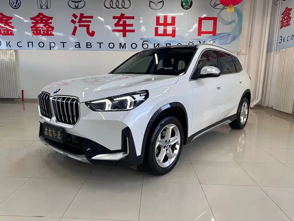 BMW X1 — фото 1
