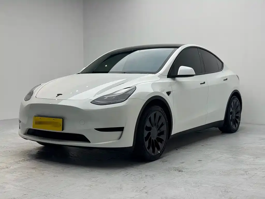 Tesla Model Y — фото 1