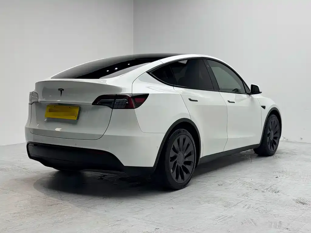 Tesla Model Y — фото 8