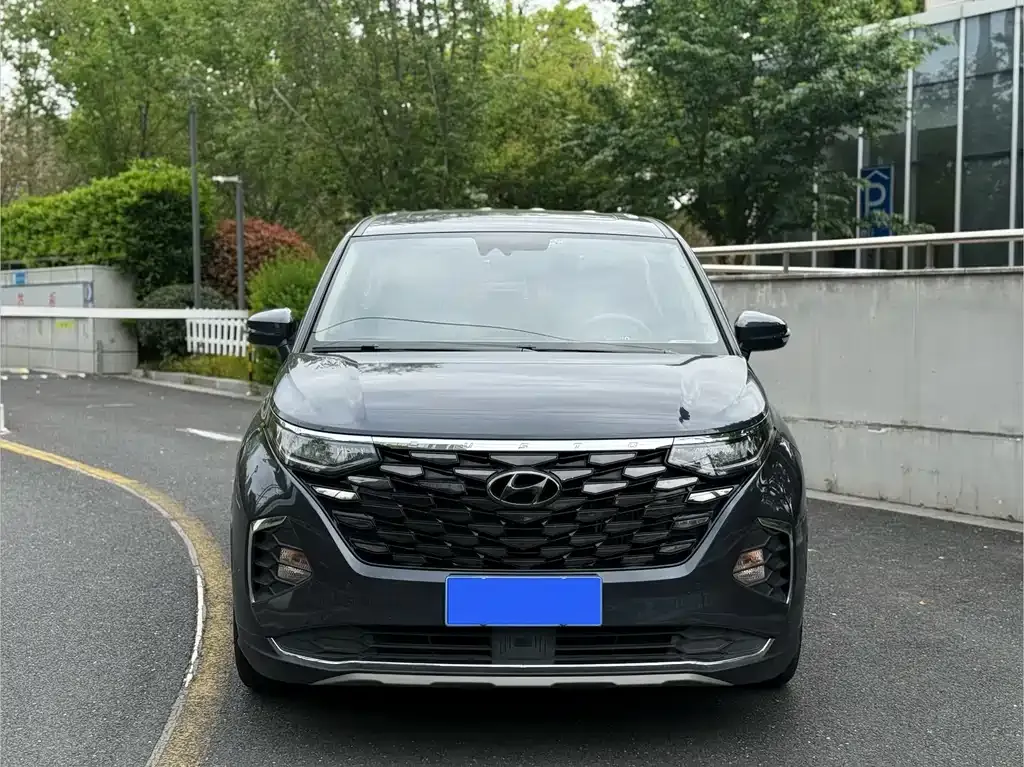 Hyundai Custo — фото 9